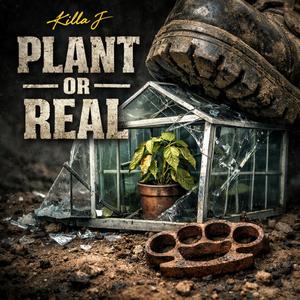 Plant or Real