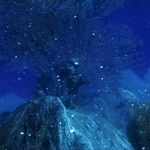 悦目花间游（Cover 少司命）