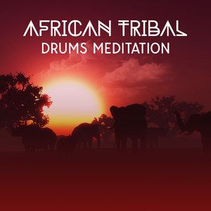 Native Shamanic World