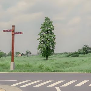 自找的痛何必喊疼