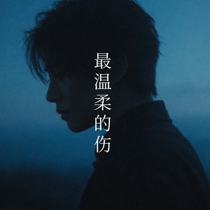 最温柔的伤