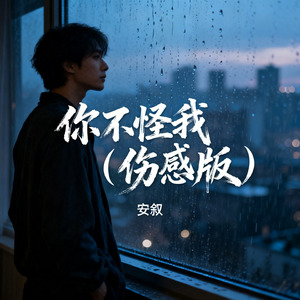 你不怪我（伤感版）