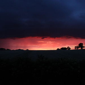 An Attempt in Random