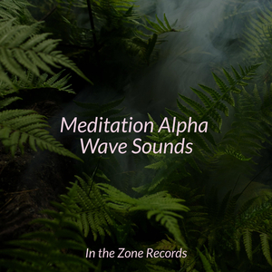 Mindful Movement