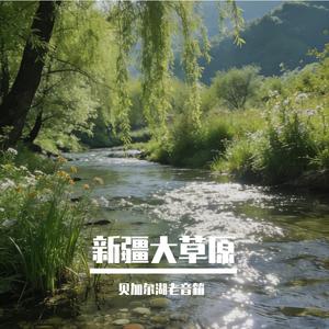 新疆大草原
