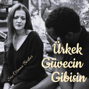 ÜRKEK GÜVERCİN GİBİSİN