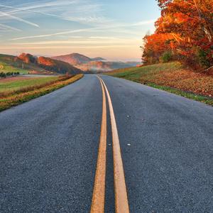 【FREE】"悠闲步伐"