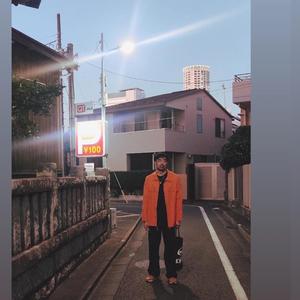 秘密の小説 (The Secret Novel)