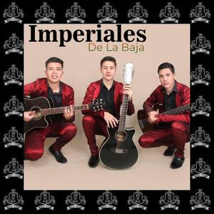 La Mirada Nunca Miente