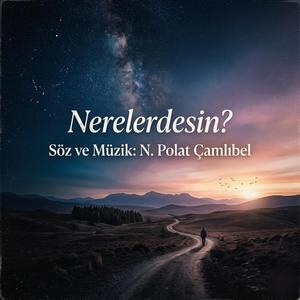 Nerelerdesin