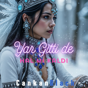 Yar Gitti de Hâl mı Kaldı