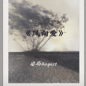 风向爱