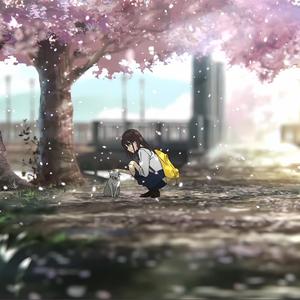 我的生存法则（cover李小眼）