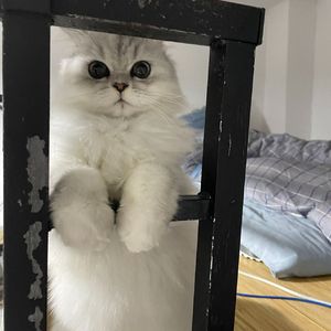 我喜欢上你时的内心活动