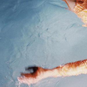 沉沦与遐想（翻自 C.HØPE）