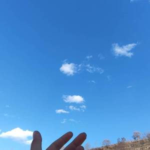 春风带你去了远方