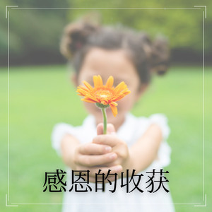 感恩的收获
