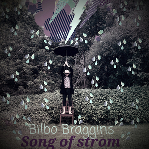 Song of Storm