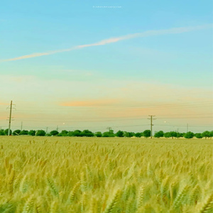 风息了山谷 (治愈八音盒)