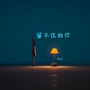 留不住的你