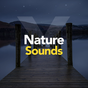 Dream Rain (Original Mix)