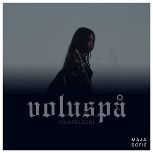 Voluspå (skapelsen)