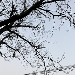 沉默比分手更残忍