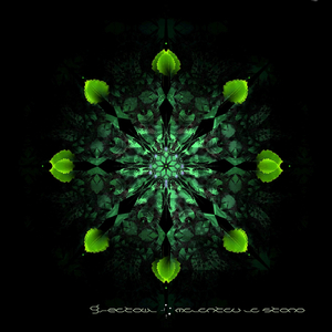 Flustras Arbopinto