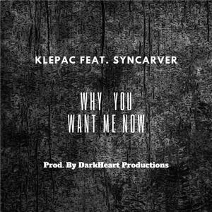 Why You Want Me Now (feat. SynCarver)
