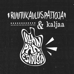 Ruutukauluspaitoja & Kaljaa