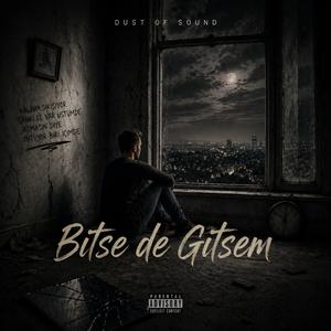 Bitse de Gitsem