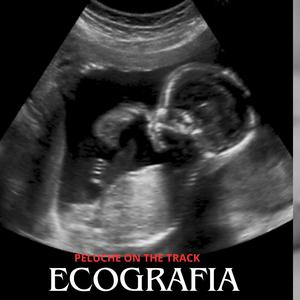 ECOGRAFIAS