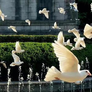 最初的记忆（cover徐佳莹）