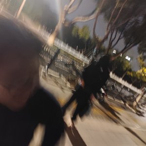 人的所谓思考是无意义的