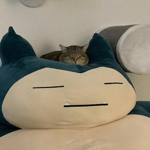 对你的思念全放下 (Remix)