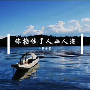 你挡住了人山人海
