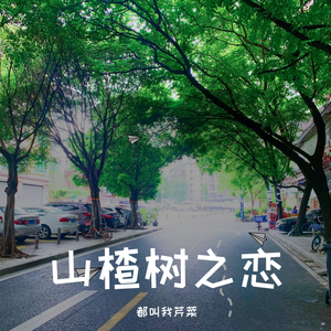 山楂树之恋（ukulele弹唱版）