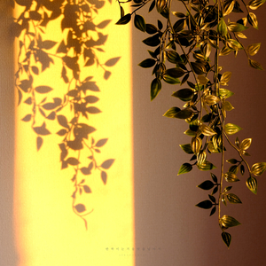 이유 없이 우울한 새벽