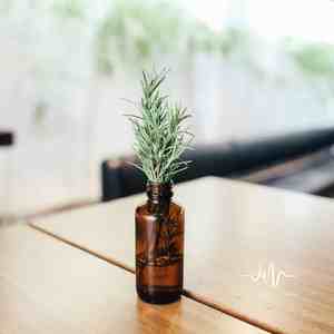 海的呼唤 (催眠曲)