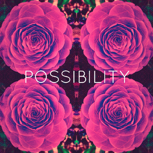 Possibility