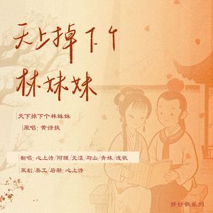 天上掉下个林妹妹