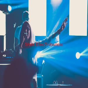 She's Electric (Karaoke tribute version originally performed by Oasis)