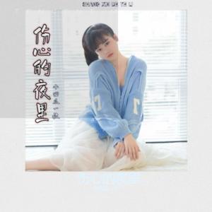 伤心的夜里 (DJ版)