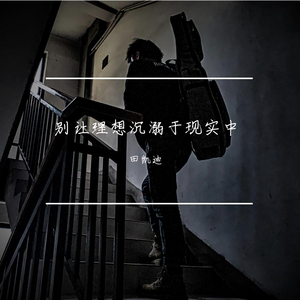 别让理想沉溺于现实中