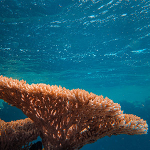 Sea Spray ASMR Meditation