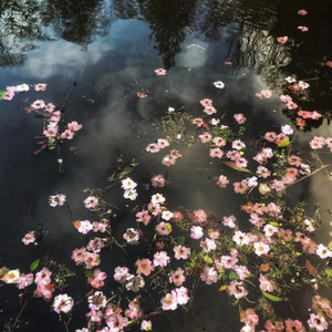 quando não amanhecer mais