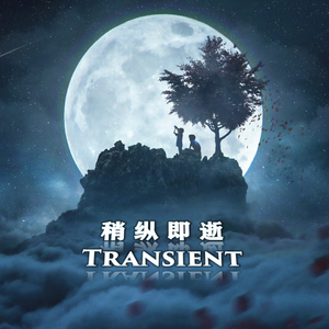 稍纵即逝（Transient）