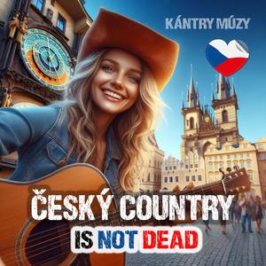 Já hledal štěstí kudy chodil