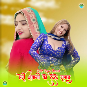 मेरी जुवानी को लेले सवाद