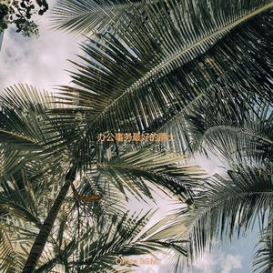 适合居家办公时髦的音乐